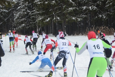 Более 80-ти юношей и девушек из Пермского края приняли участие в открытом первенстве коллектива «Юный динамовец» по лыжным гонкам
